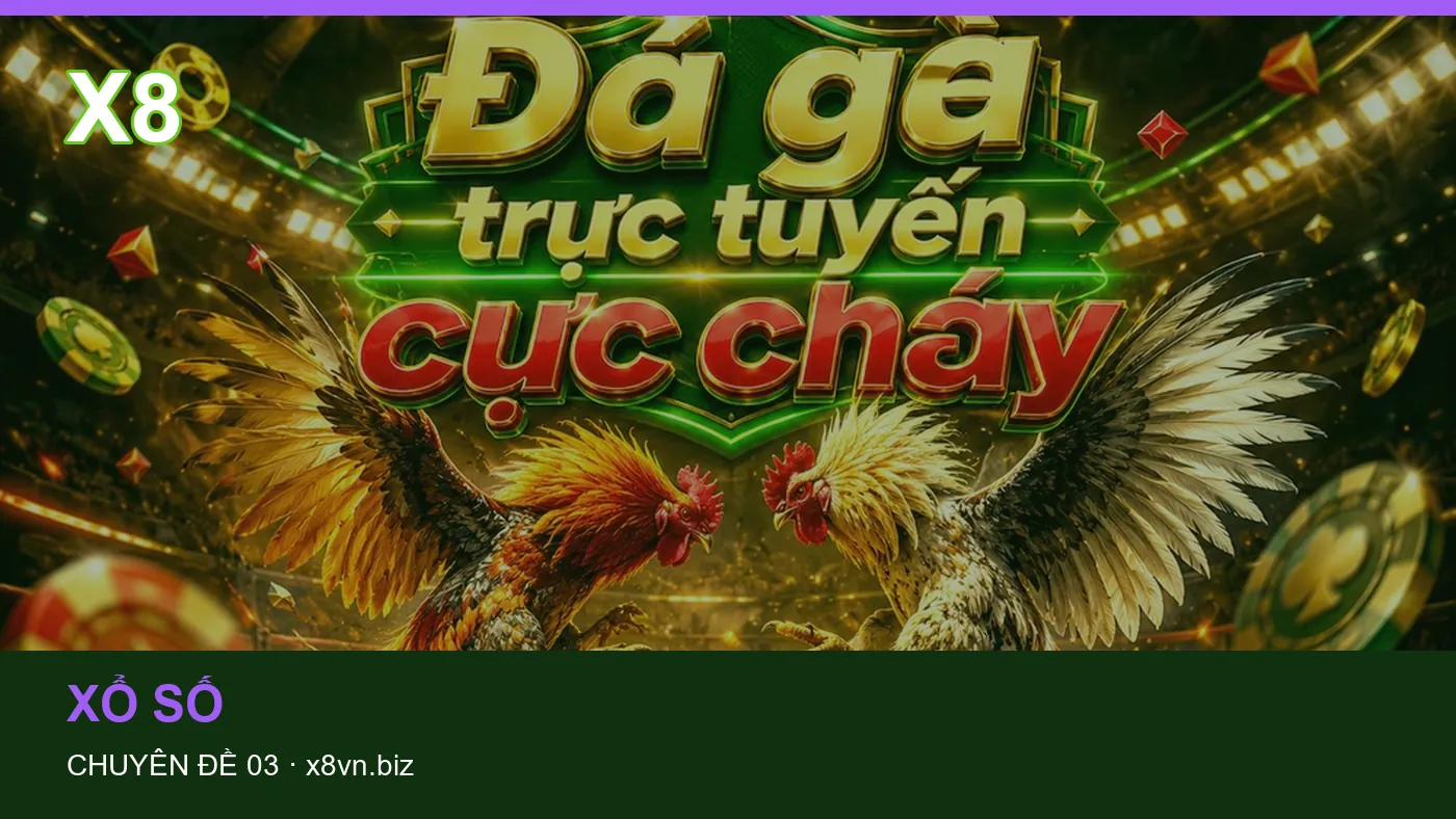 Hỏi đáp về Casino: quy trình tự kiểm tra trên X8